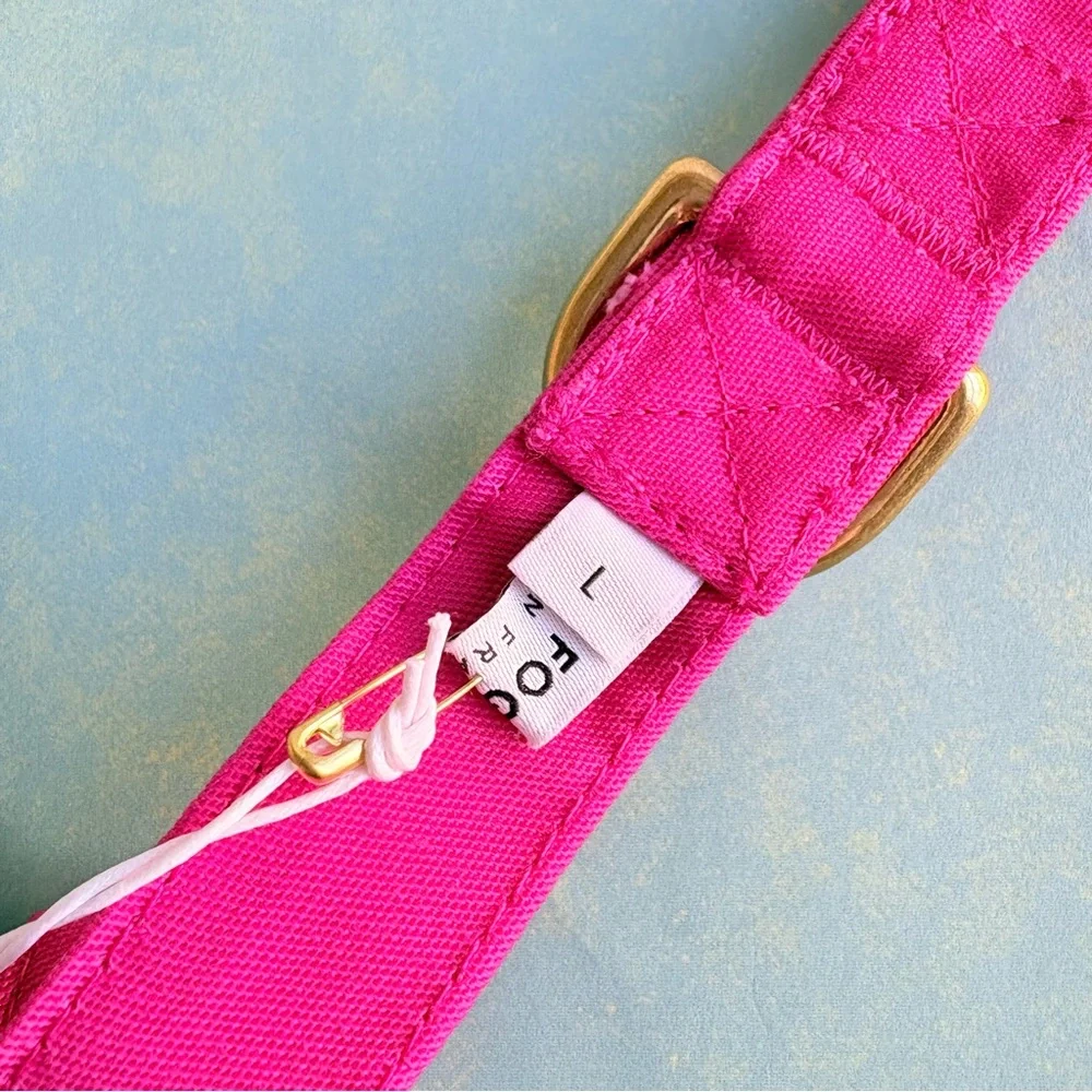 NEW The Foggy Dog Hot Pink Dog Collar Large Gold Hardware Spring Pet Gift NWT - Picture 7 of 12